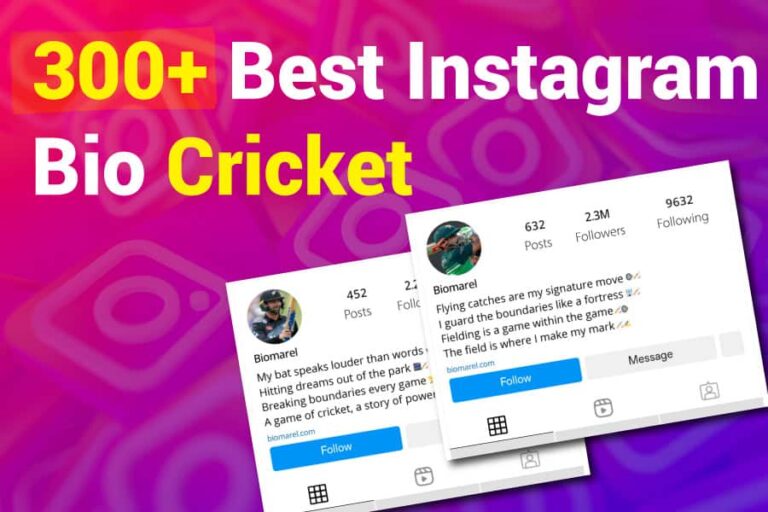 Instagram Bio Cricket