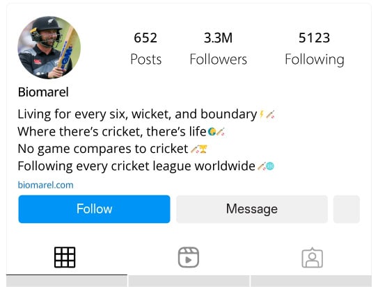 Cricket Fanatics Bios for Instagram