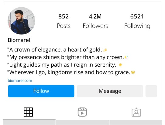 Enchanted Royal Elegance Bios for Instagram