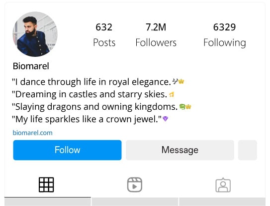 Fairytale Royal Bios for Instagram