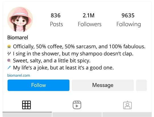 Funny Instagram Bios for Girls