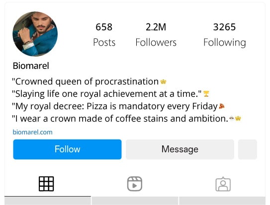 Humorous & Playful Royal Bios for Instagram