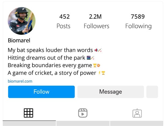 Power-Hitters Bios for Instagram