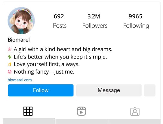 Simple Instagram Bio for Girls