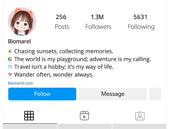 Travel Enthusiast Instagram Bios for Girls