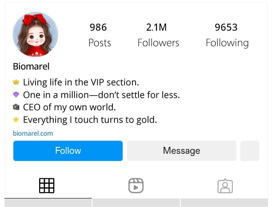 VIP Instagram Bio for Girls 