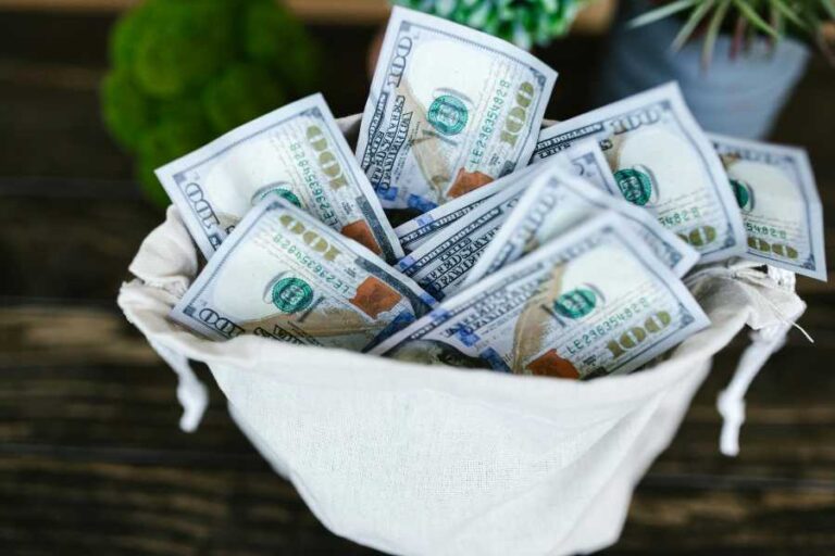 Mother Teresa Net Worth